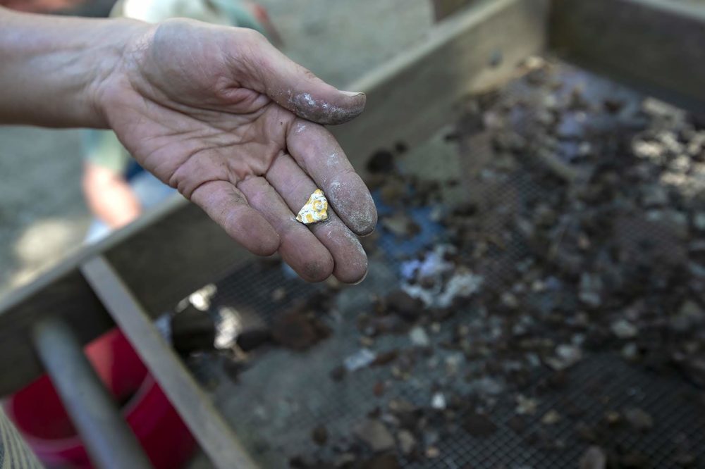 A small shard of pottery with a Chinese design is pulled from a soil sample. (Jesse Costa/WBUR)