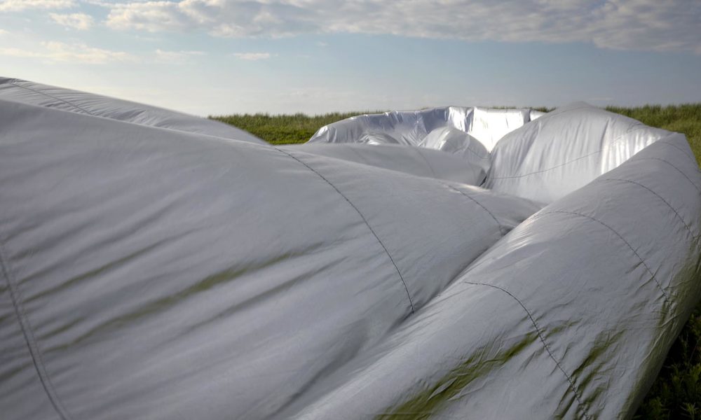 Air blows through the silver Mylar balloon as it lies on the ground at Long Point. (Robin Lubbock/WBUR)