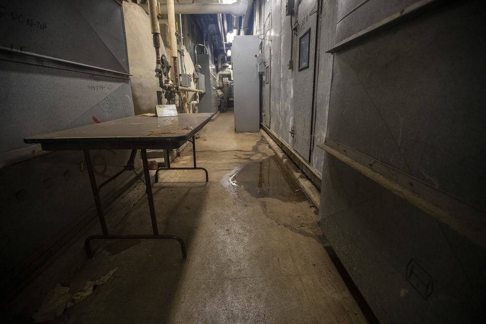 Water collects outside one of the rooftop air conditioner units of the Jackson/Mann K-8 School. (Jesse Costa/WBUR)