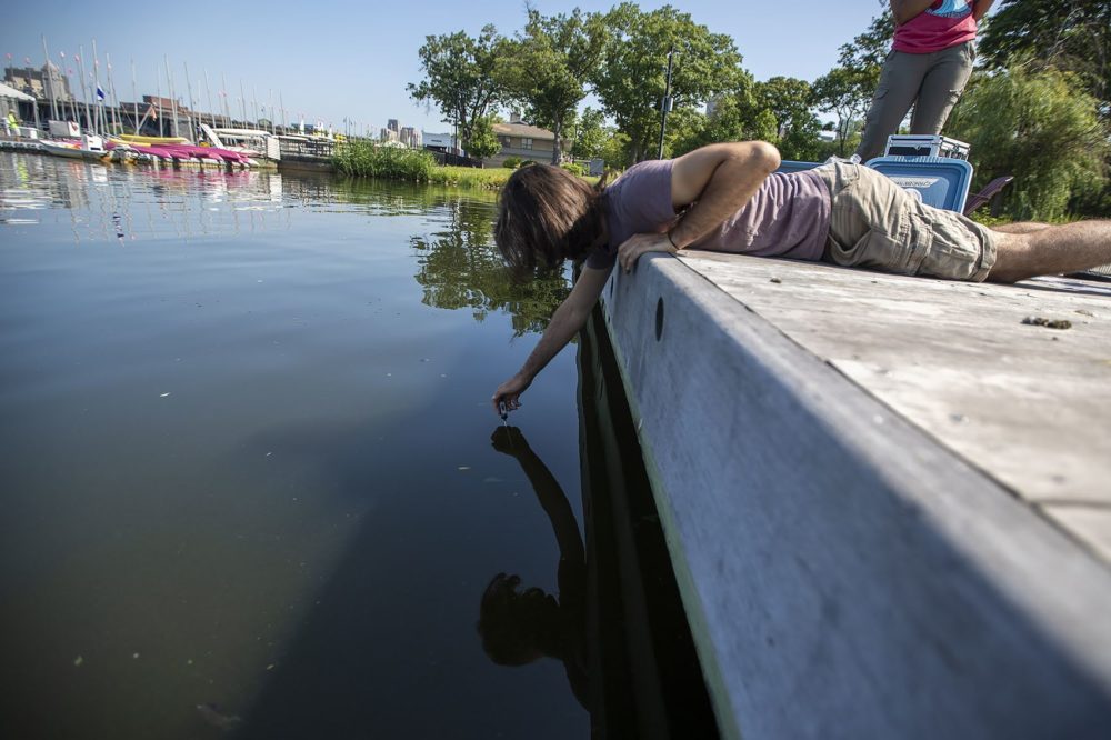 Glauco Cavina, of the Charles River Watershed Association, takes a temperature reading of the Charles River earlier this month. (Jesse Costa/WBUR)