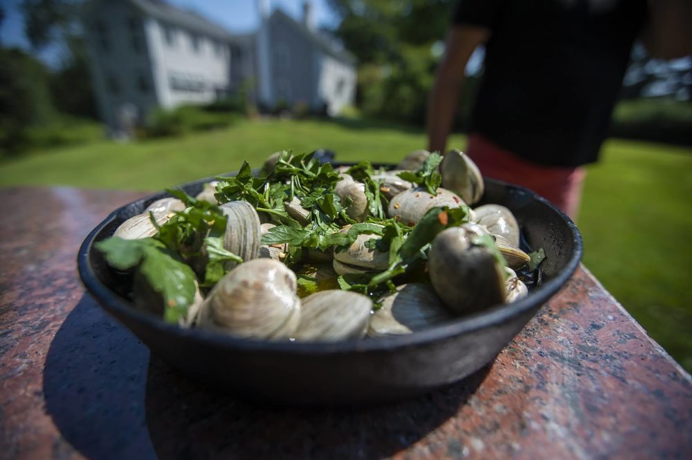 Clams before being thrown on the grill. (Jesse Costa/WBUR)