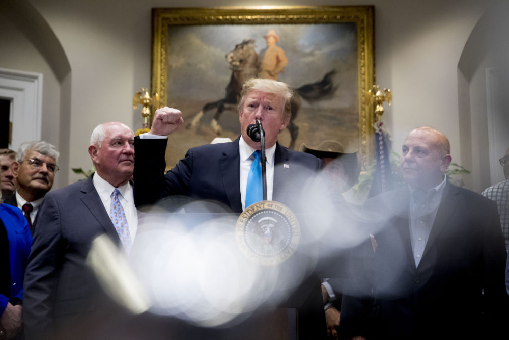 President Donald Trump, accompanied by Agriculture Secretary Sonny Perdue, left, gestures as he speaks about an infrastructure meeting with House Speaker Nancy Pelosi of Calif. and other Democratic leaders during a meeting to support America's farmers and ranchers in the Roosevelt Room of the White House, Thursday, May 23, 2019, in Washington. (Andrew Harnik/AP)