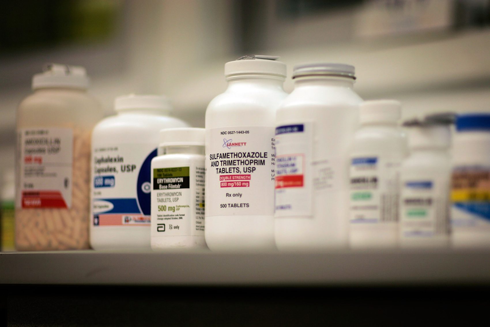 Bottles of antibiotics line a shelf at a Publix supermarket pharmacy August 7, 2007 in Miami, Florida. (Joe Raedle/Getty Images)