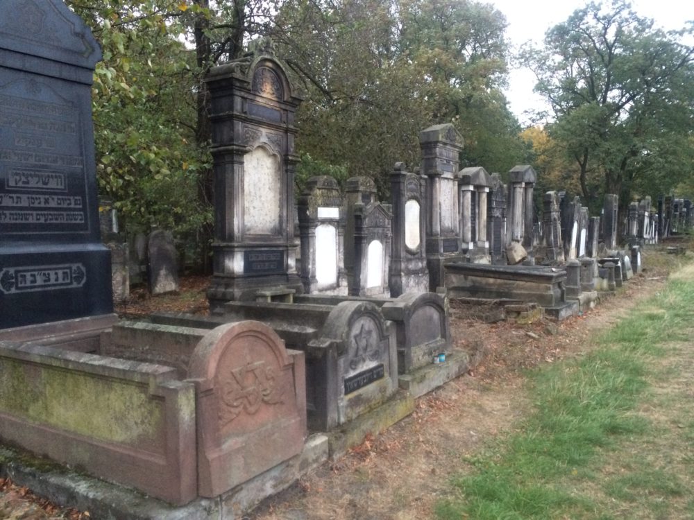 A Jewish graveyard in Łódź, Poland. (Shira Springer/WBUR)
