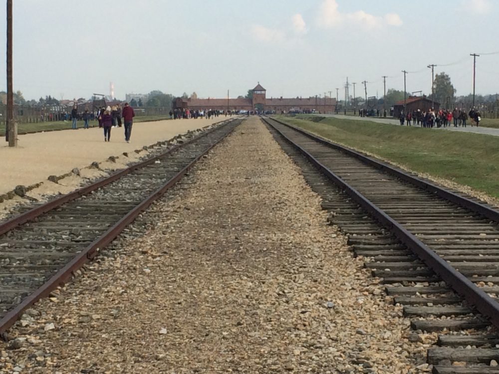 Inside the camp. (Shira Springer/WBUR)