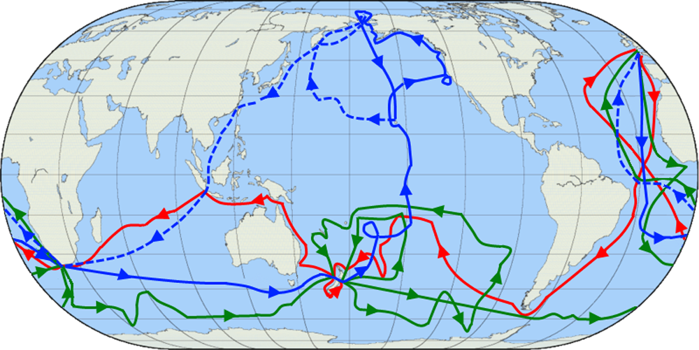 Map showing the three voyages of Captain Cook, with the first version in red, second in green, and third in blue. The route of Cook's crew following his death is shown as a dashed blue line. (Courtesy of Jon Platek and Wikimedia Commons)