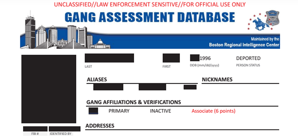 Boston police maintains a gang database tracking 5,300 individuals listed as actively, or previously, having been in a gang (Boston Police)