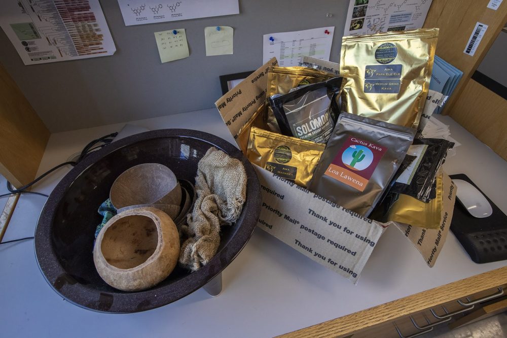 Various kava products purchased from Amazon are being tested by Jing-Ke Weng's lab. (Jesse Costa/WBUR)