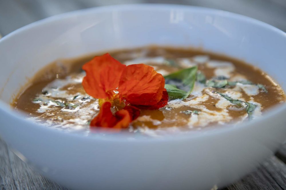 Tomato and leek soup with basil cream. (Jesse Costa/WBUR)