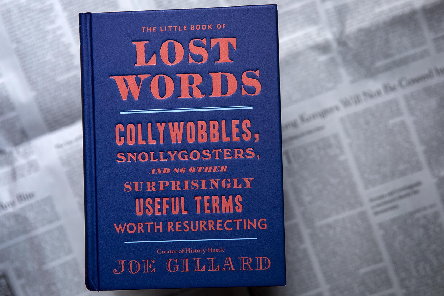 "The Little Book Of Lost Words" by Joe Gillard. (Robin Lubbock/WBUR)