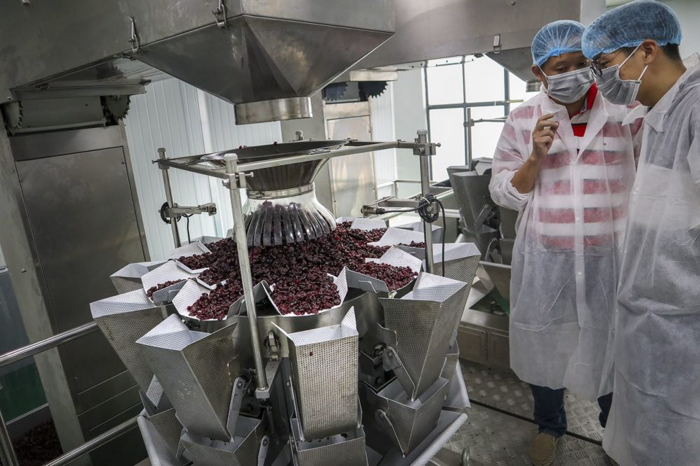 At Karat Farm's manufacturing facility in Taicang, the company takes tons of fruit and repackages it for resale in China. At its peak, the company will process about 2,000 pounds of dried U.S. cranberries per day. (Adrian Ma/WBUR)