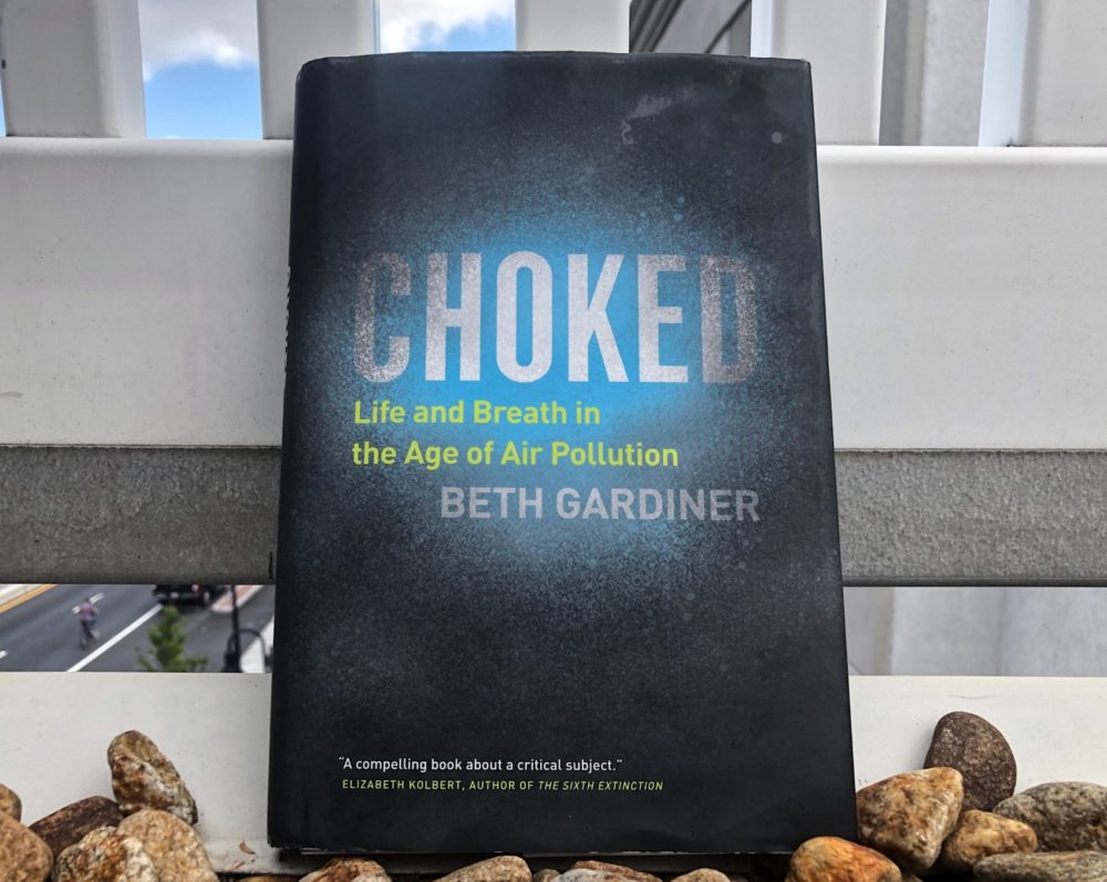 &quot;Choked: Life and Breath in the Age of Air Pollution&quot; by Beth Gardiner (Allison Hagan/Here & Now)