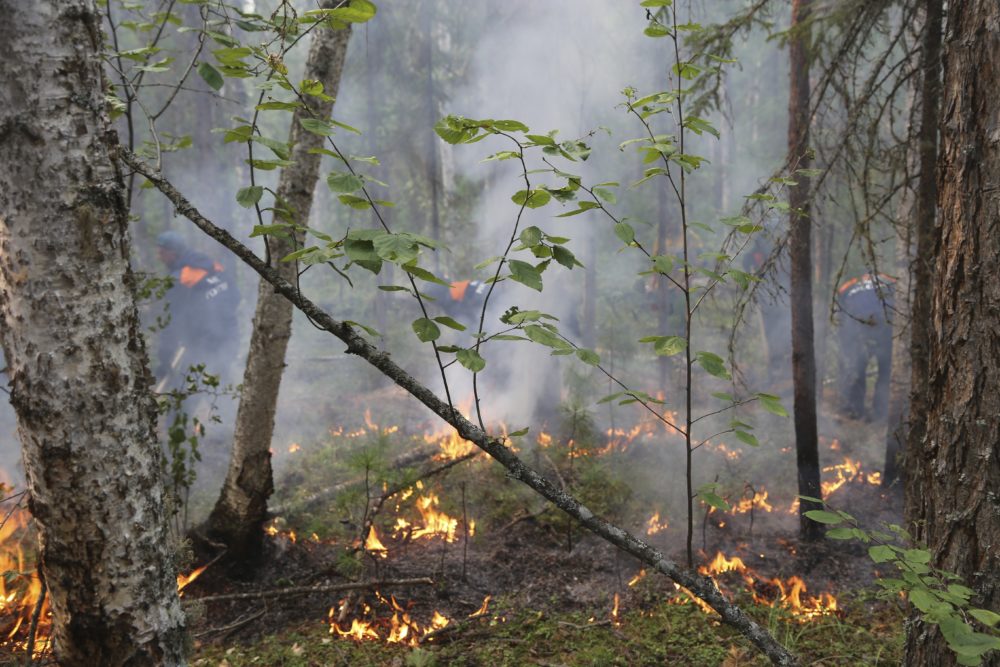 A fire is seen in a forest in Krasnoyarsk Region, Eastern Russia. (Ministry of Emergency Situations of Krasnoyarsk Region via AP)