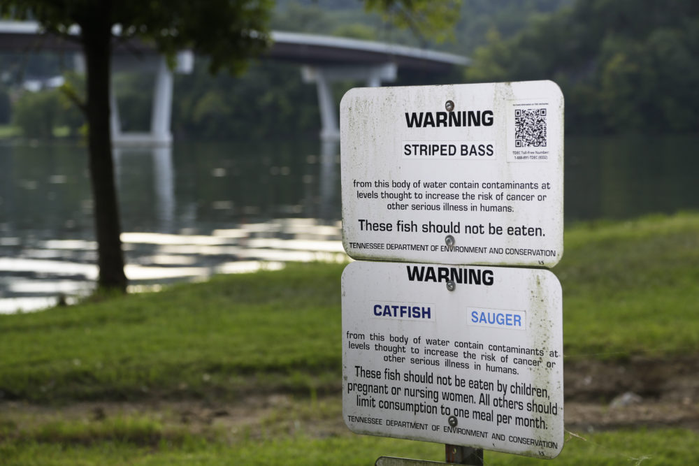 In this Aug. 7, 2019, photo, warning signs about contaminants in fish are posted by a waterway near the Kingston Fossil Plant in Kingston, Tenn. Fallout from the Tennessee Valley Authority's handling of a massive 2008 coal ash spill at the plant keeps growing. Late last year, a Knoxville jury took less than a day to decide TVA's contractor for the cleanup had breached its duty to keep workers safe. (Mark Humphrey/AP)