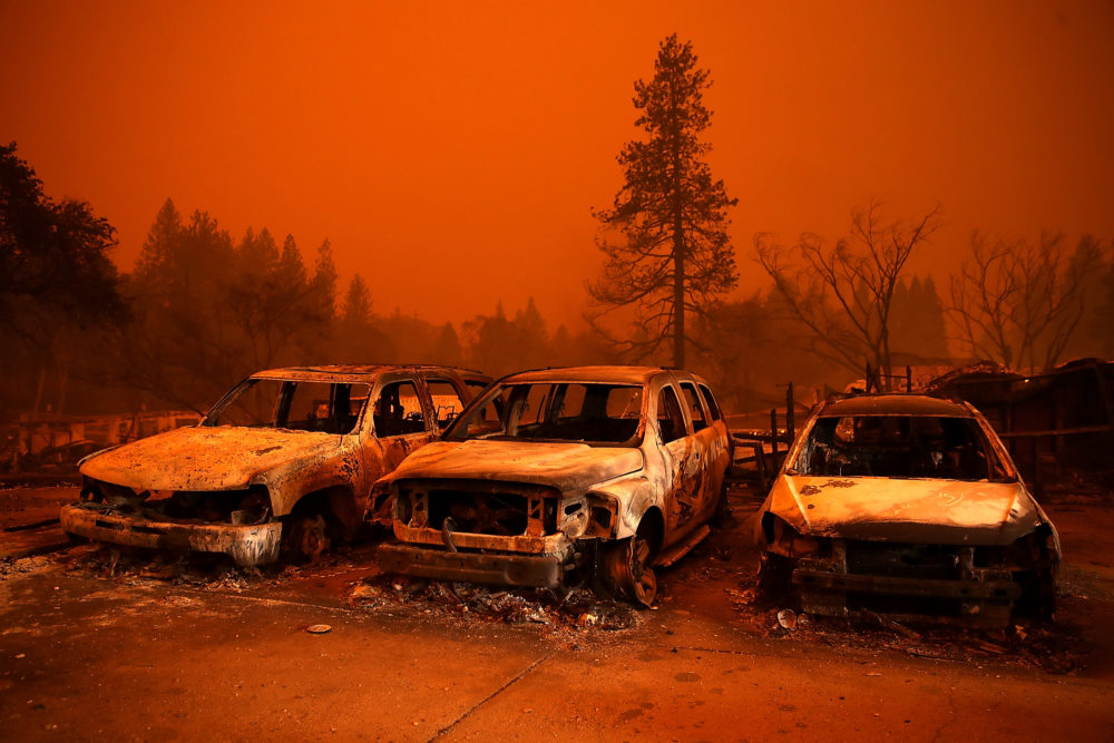 Cars destroyed by the Camp Fire sit in the lot at a used car dealership on November 9, 2018 in Paradise, California. (Photo by Justin Sullivan/Getty Images)