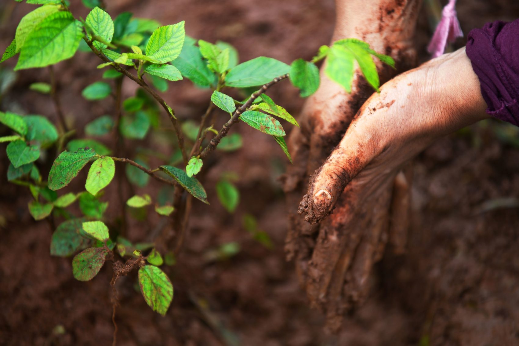 U.N. Report Links Soil Degradation To Climate Change