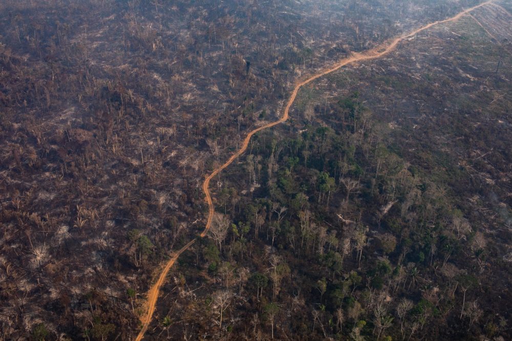 A section of the Amazon rainforest that has been decimated by wild fires in the Candeias do Jamari region near Porto Velho, Brazil. (Victor Moriyama/Getty Images)