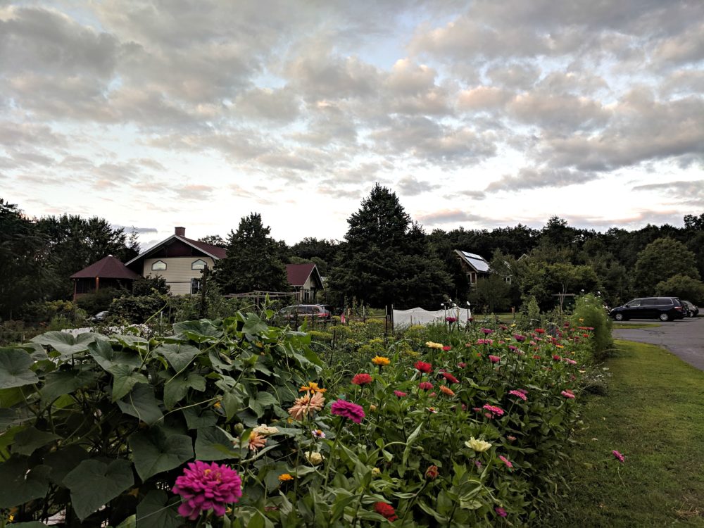 One of the gardens in the author's cohousing community.  (Courtesy)
