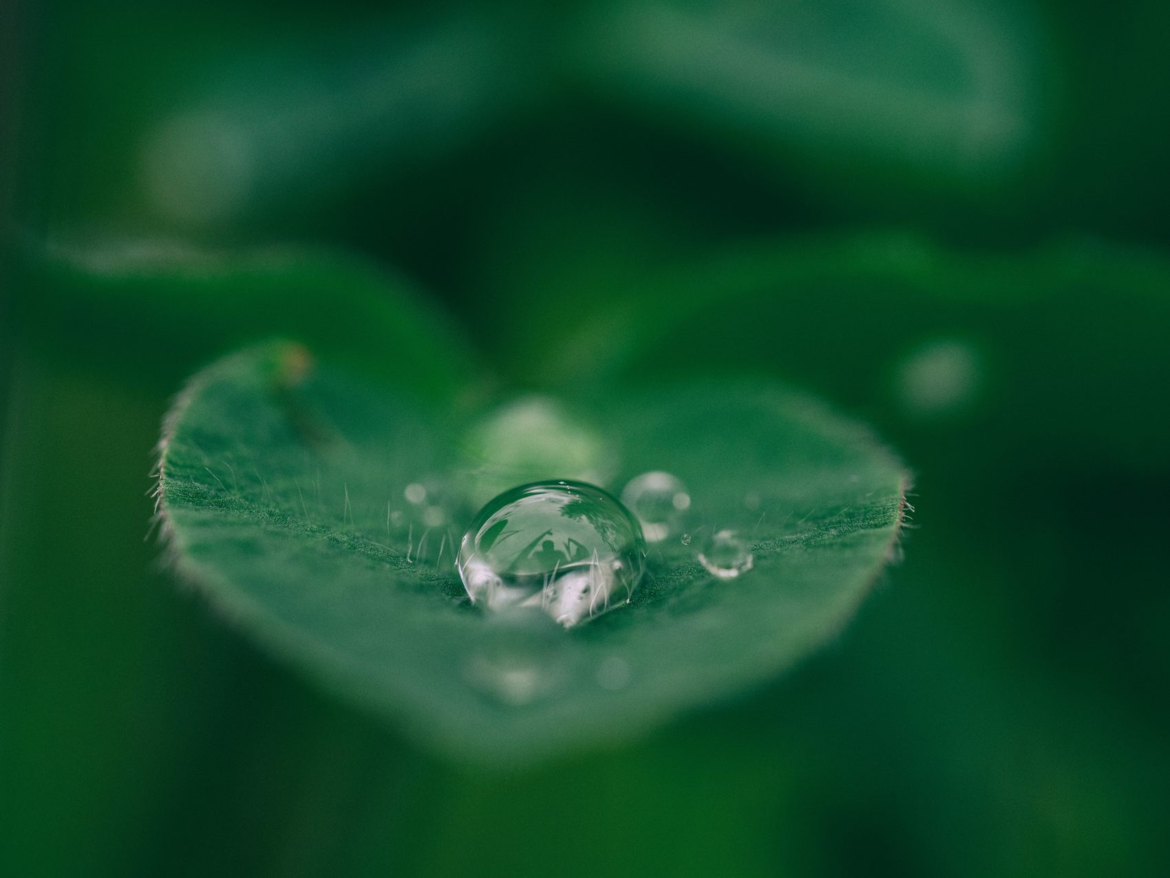 (Aaron Burden/Unsplash)