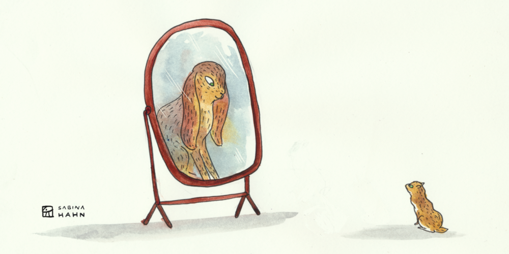  Rabbit's Wish feat. Ryan Michelle Bathé 