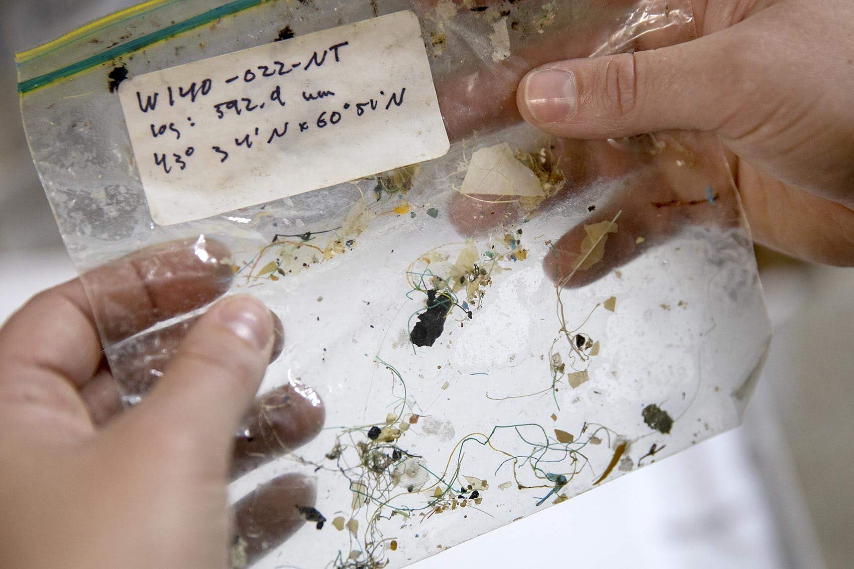 Plastic particles and filaments collected in a 1995 Atlantic Ocean tow. (Robin Lubbock/WBUR)