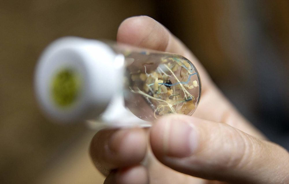 A vial of plastic particles filtered from the Atlantic Ocean in 2013. (Robin Lubbock/WBUR)