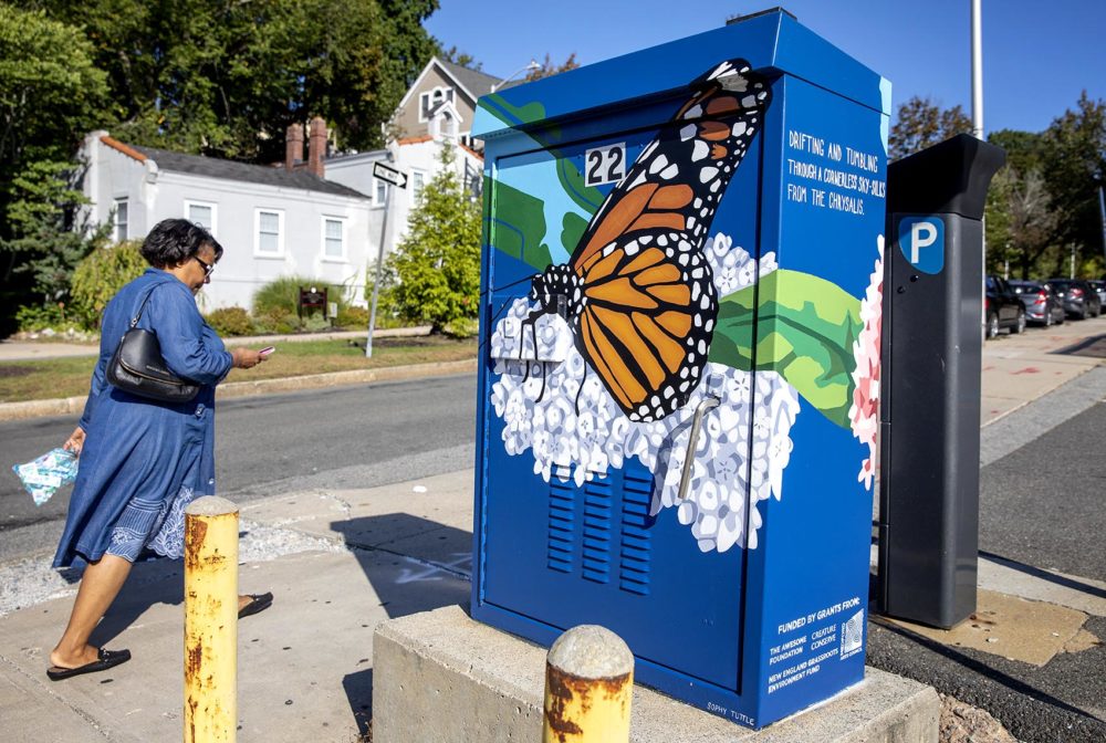 Sophy Tuttle's &quot;Monarch Butterfly &amp; Milkweed&quot; on Governors Avenue in Medford. (Robin Lubbock/WBUR)