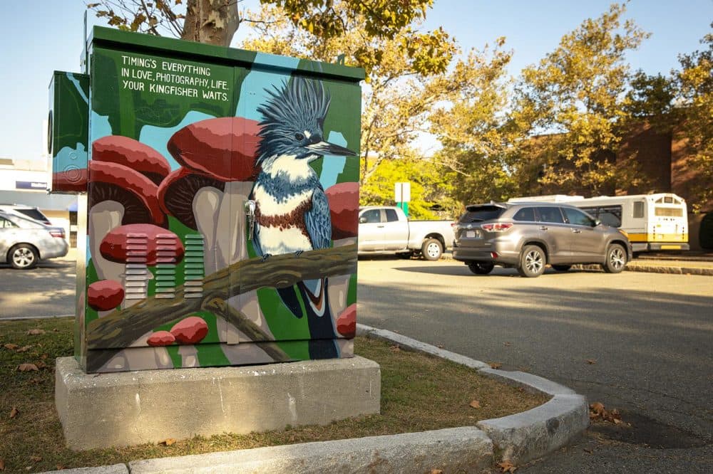 Sophy Tuttle's &quot;Belted Kingfisher and Wine Cap Mushroom&quot; on Clippership Drive in Medford. (Robin Lubbock/WBUR)