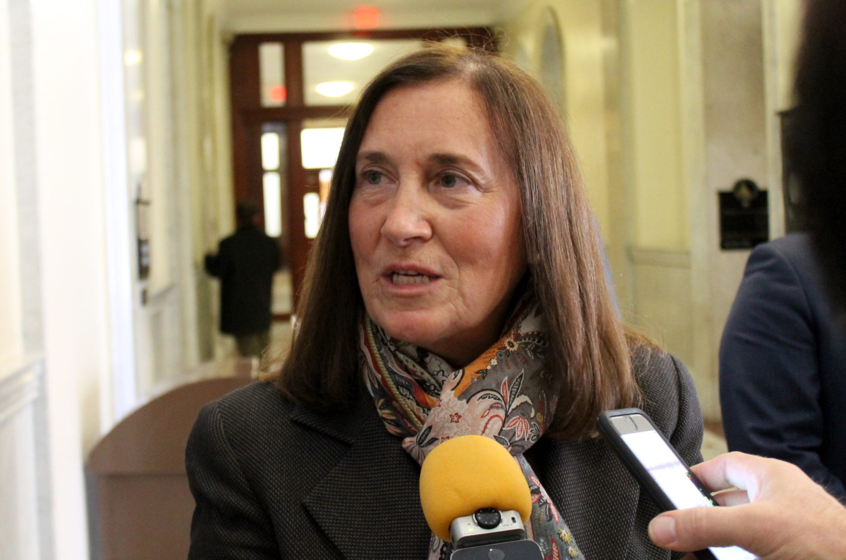 Treasurer Deborah Goldberg. (Sam Doran/SHNS)