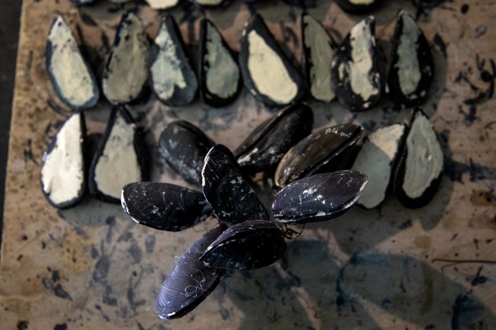 Plaster mussels made with a cast of real mussels gathered from the beach at Marblehead. (Robin Lubbock/WBUR)