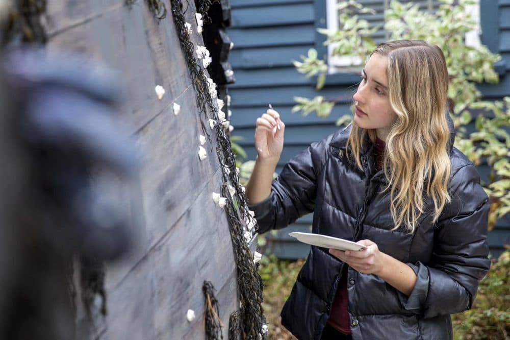 Saltsman's daughter Cameron, an art student, works on the hull of the pirate ship. (Robin Lubbock/WBUR)