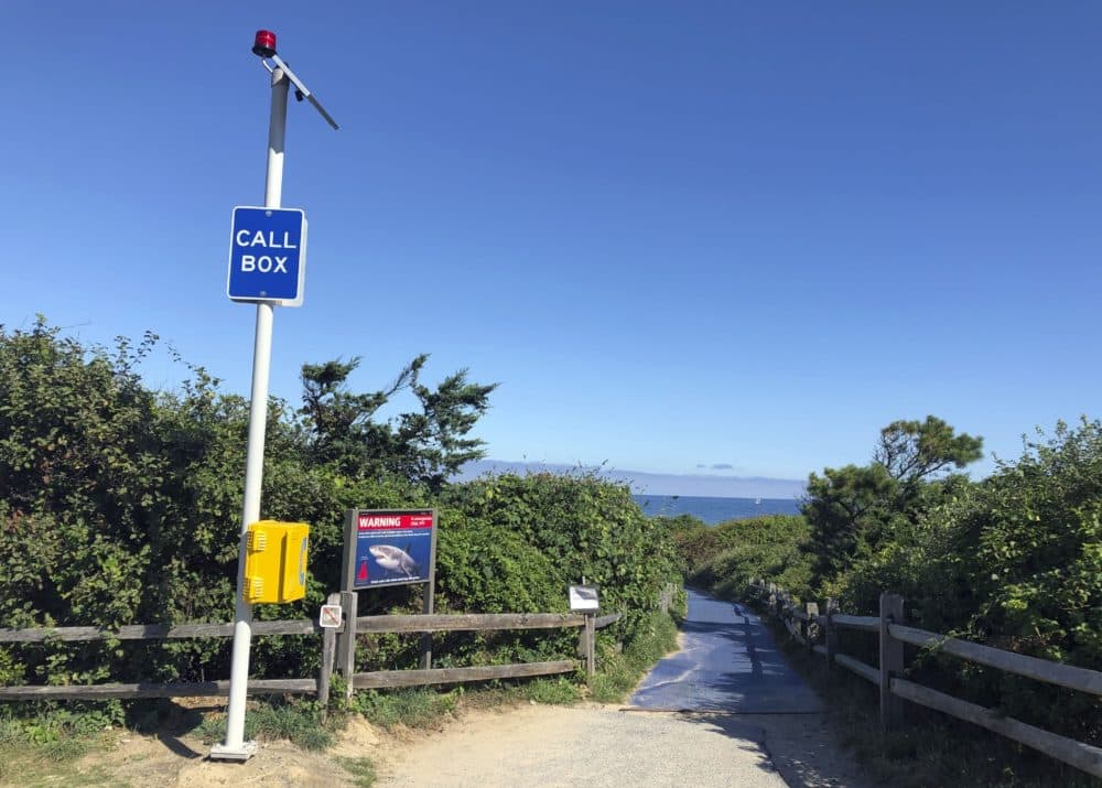 A call box and a shark warning sign near the beach in Eastham, Mass. (Susan Haigh/AP)