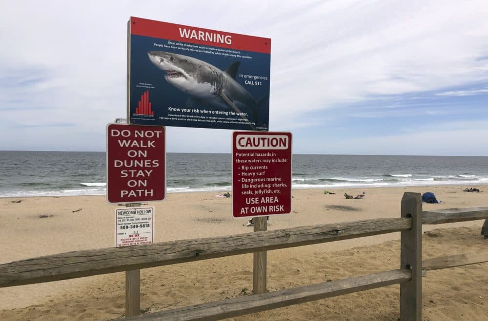 A shark warning sign warns visitors at Newcomb Hollow Beach in Wellfleet, Mass. (Susan Haigh/AP)