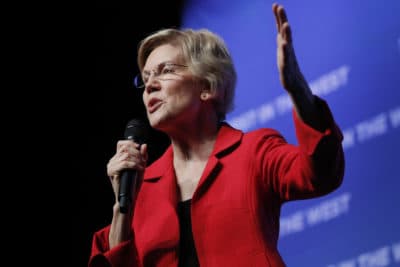 'A Plan For That': Here's A Collection Of Warren's Notable Policy Proposals