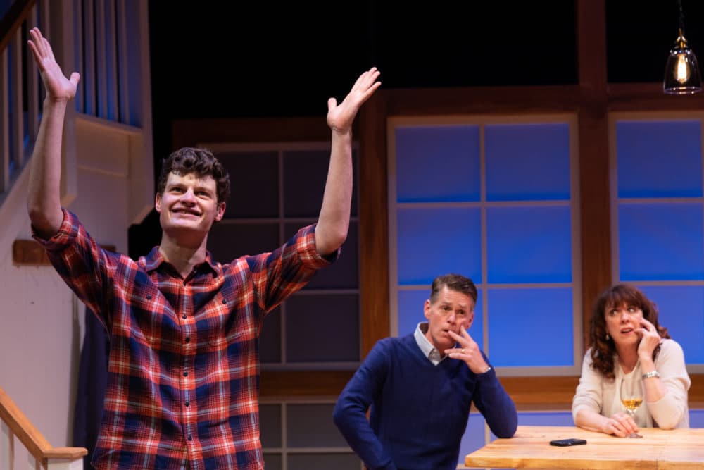 Nathan Malin, Michael Kaye and Maureen Keiller in SpeakEasy Stage's Production of &quot;Admissions.&quot; (Courtesy Maggie Hall Photography)