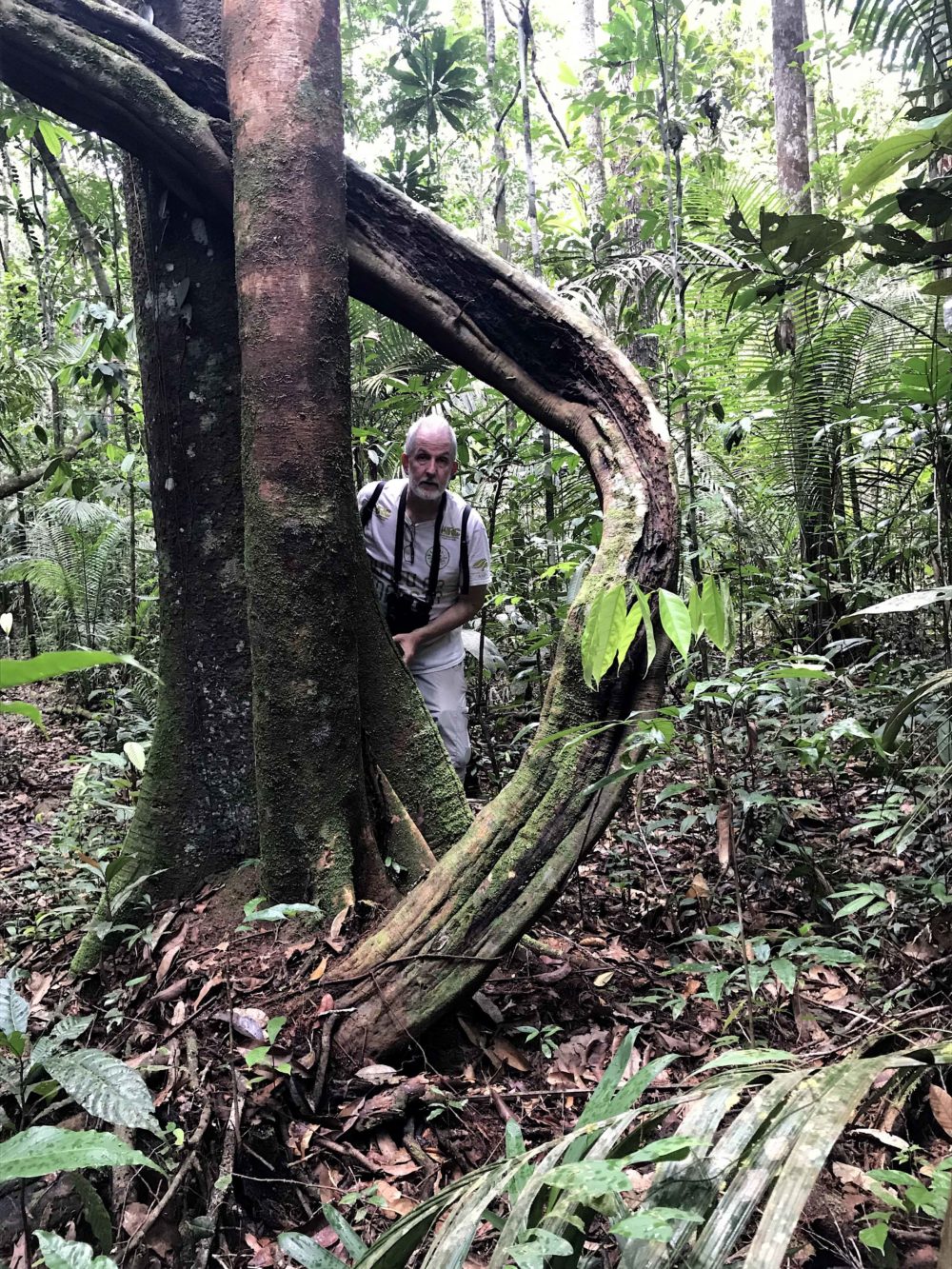 Mario Cohn-Haft, an ornithologist at Brazil's National Institute of Amazonian Research, on a field trip a few hours northeast of Manaus, the Amazon's largest city. (Courtesy of Daniel Grossman)