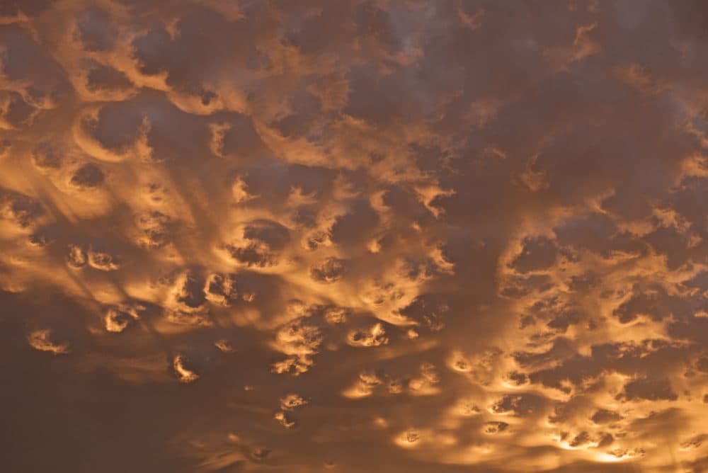 Altocumulus lacunosus, spotted over Owens Valley, California, US by Stephen Ingram and published in A Cloud A Day from the Cloud Appreciation Society. (Stephen Ingram)