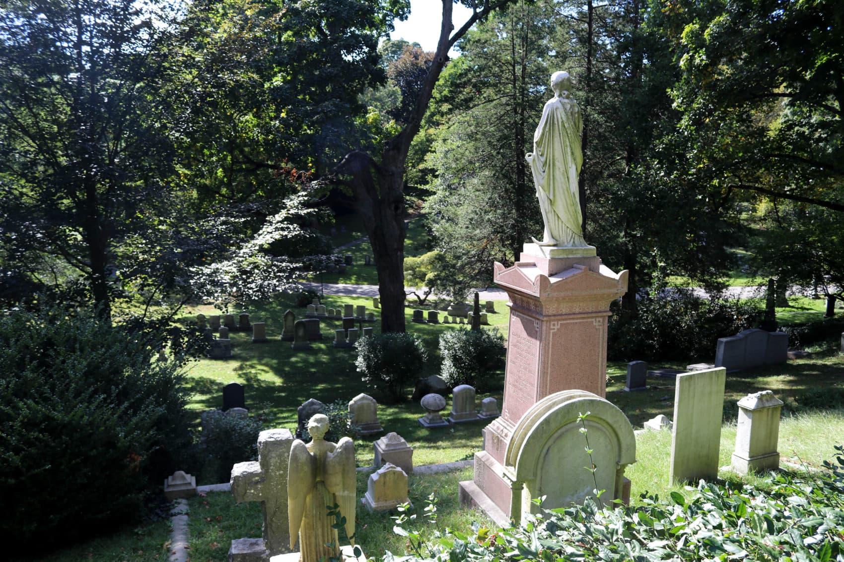 The grounds at Mount Auburn Cemetery (Olivia Deng for WBUR)