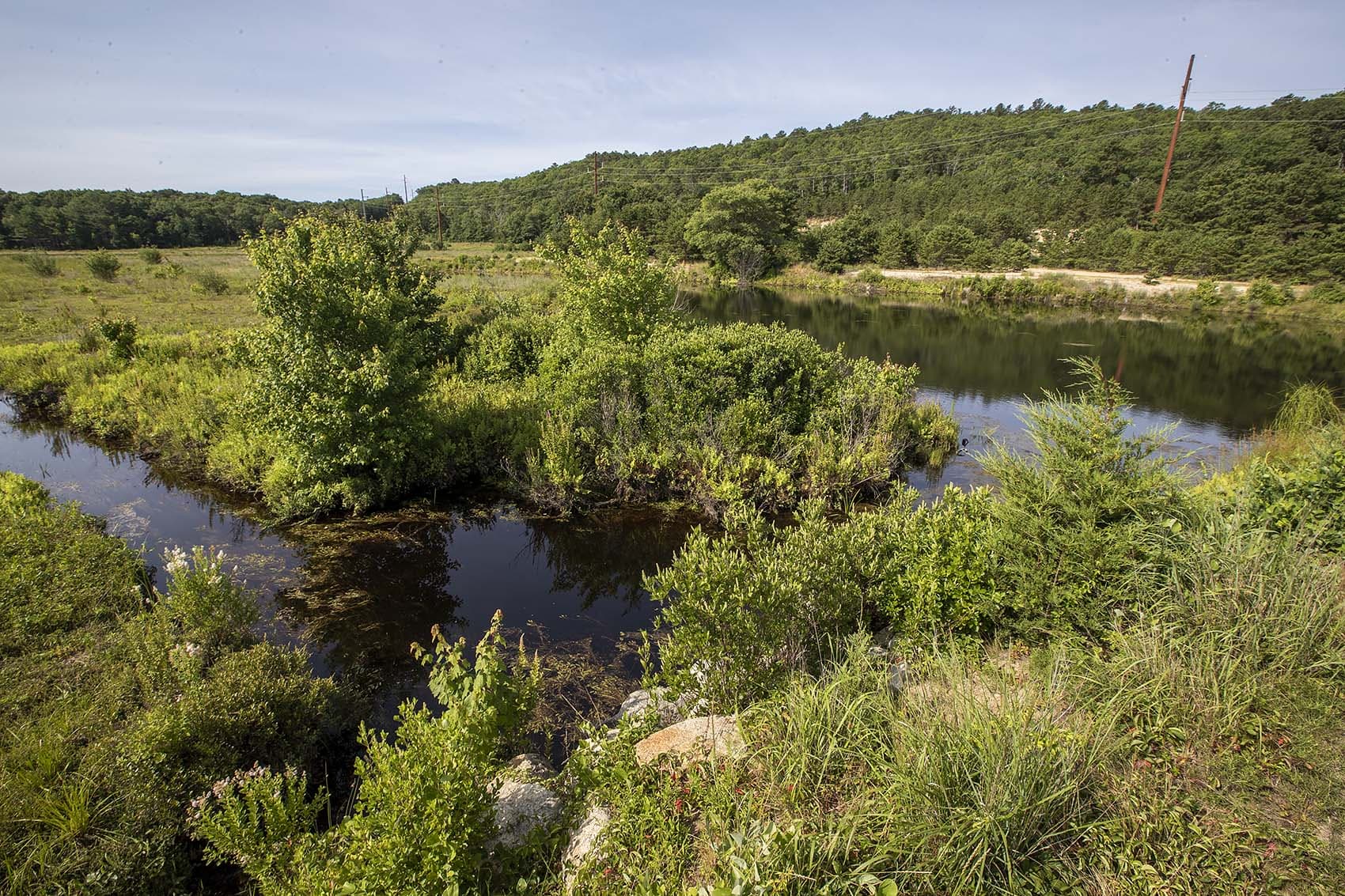 A working cranberry bog in Plymouth before being converted back into wetlands. The Association to Preserve Cape Cod received $17.5 million in federal funding, much of it for wetland and habitat restoration. (Jesse Costa/WBUR)