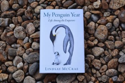 &quot;My Penguin Year: Life Among the Emperors&quot; by Lindsay McCrae. (Allison Hagan/Here &amp; Now)