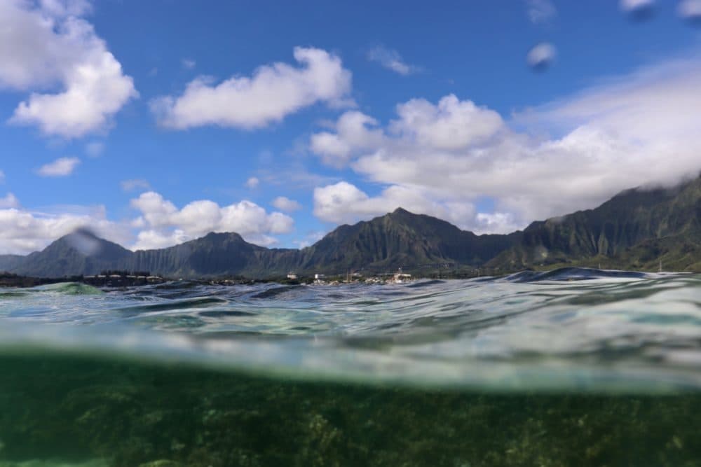 Kooalau Mountains from Kaneohe Bay. (Photo by Shreya Yadav/Madin Lab/Hawaii Institute of Marine Biology)