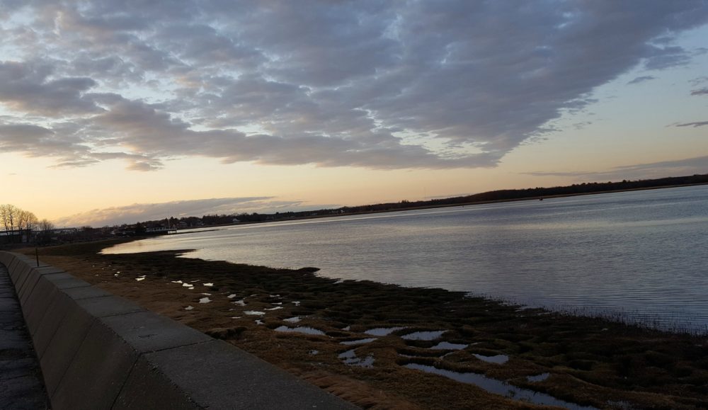 A scene from a walk near the mouth of the Merrimack River and the tidal flats between Plum Island and Newburyport on Boston's North Shore. (Courtesy)