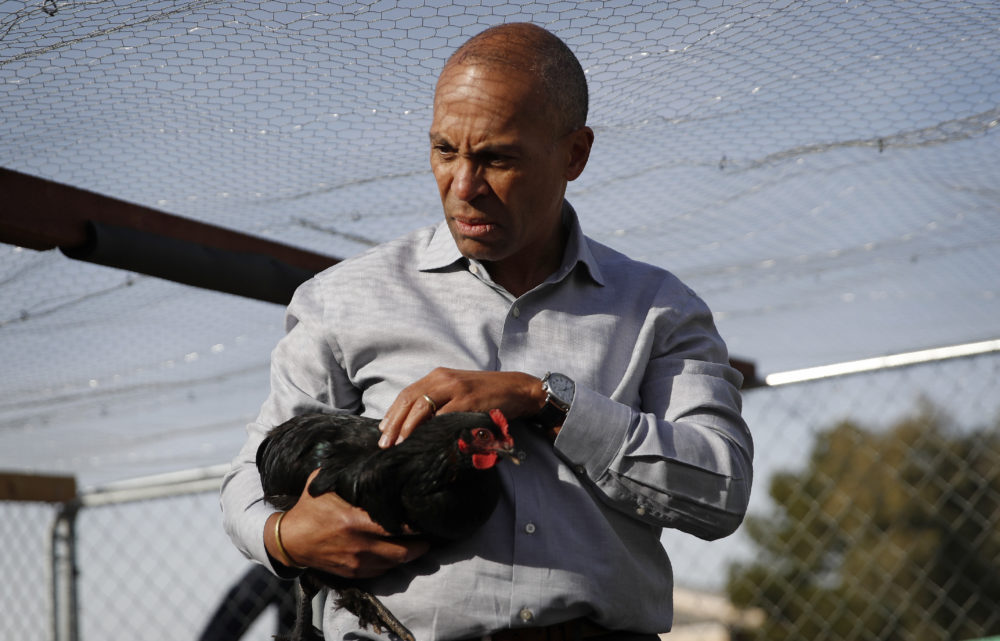 Deval Patrick holds a chicken while touring the garden in Las Vegas. (John Locher/AP)