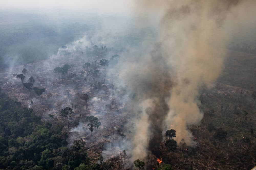In this aerial image, a fire burns in a section of the Amazon rain forest on August 25, 2019, in the Candeias do Jamari region near Porto Velho, Brazil. (Victor Moriyama/Getty Images)