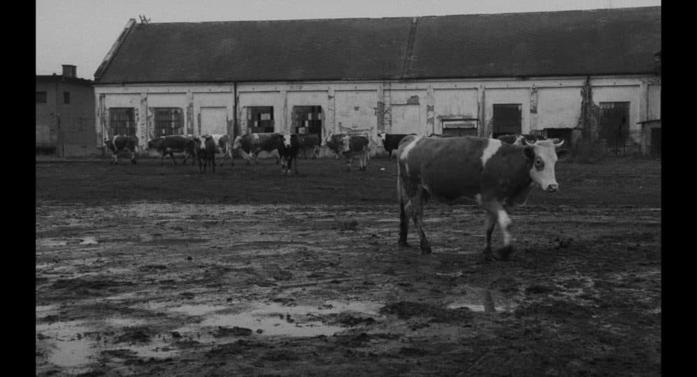 A still from director Béla Tarr’s “Sátántangó.” (Courtesy Arbelos Films)