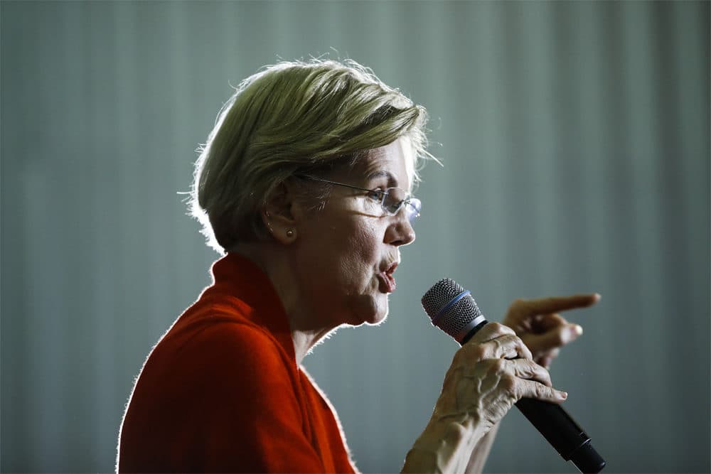 Democratic presidential candidate Sen. Elizabeth Warren, D-Mass., speaks during a campaign event, Jan. 26, 2020, in Cedar Rapids, Iowa. (Matt Rourke/AP)
