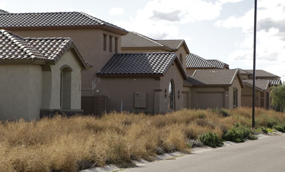 Weeds take over a row of vacant homes in Gilbert, Arizona. (Matt York/AP)