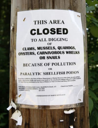 A sign is posted announcing the closure of a mud flat, Friday, July 10, 2009, in Yarmouth, Maine. (Robert F. Bukaty/AP)
