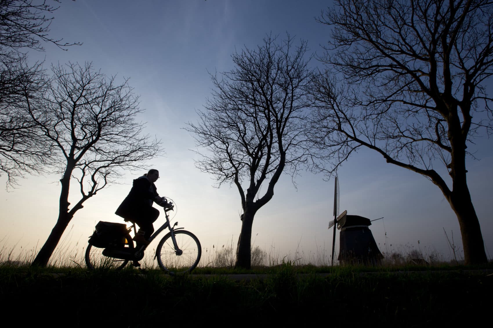 The Dutch government is ratcheting up its commitments to fight climate change after a first-of-its-kind ruling in the country's supreme court last month. (Peter Dejong/AP)
