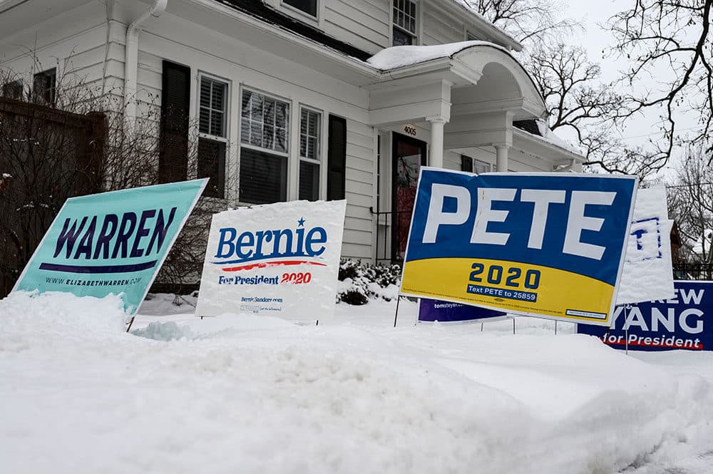 Signs for a number of different candidates are staked in the lawn outside of a home in Des Moines, Iowa, on January 25, 2020. - With nine days to go candidates vying for the Democratic presidential nomination are making their final push in Iowa before the caucuses on February 3, 2020. (STEPHEN MATUREN/AFP via Getty Images)
